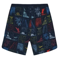 Beach Print Swim Shorts 2-12