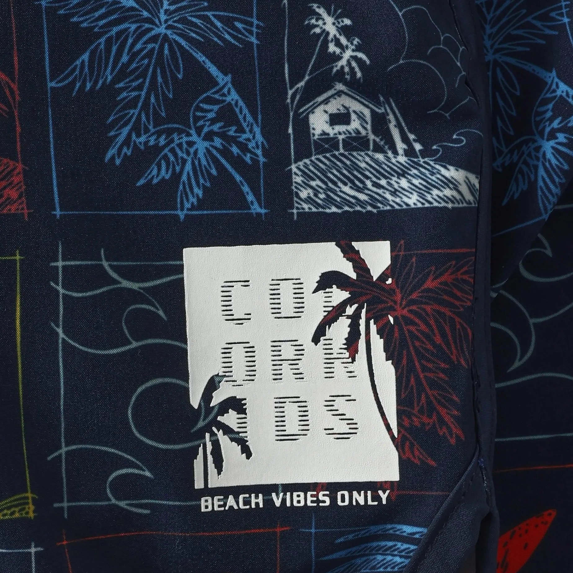 Beach Print Swim Shorts 2-12