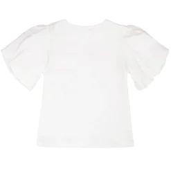 Daffodils Flower Top 7-10