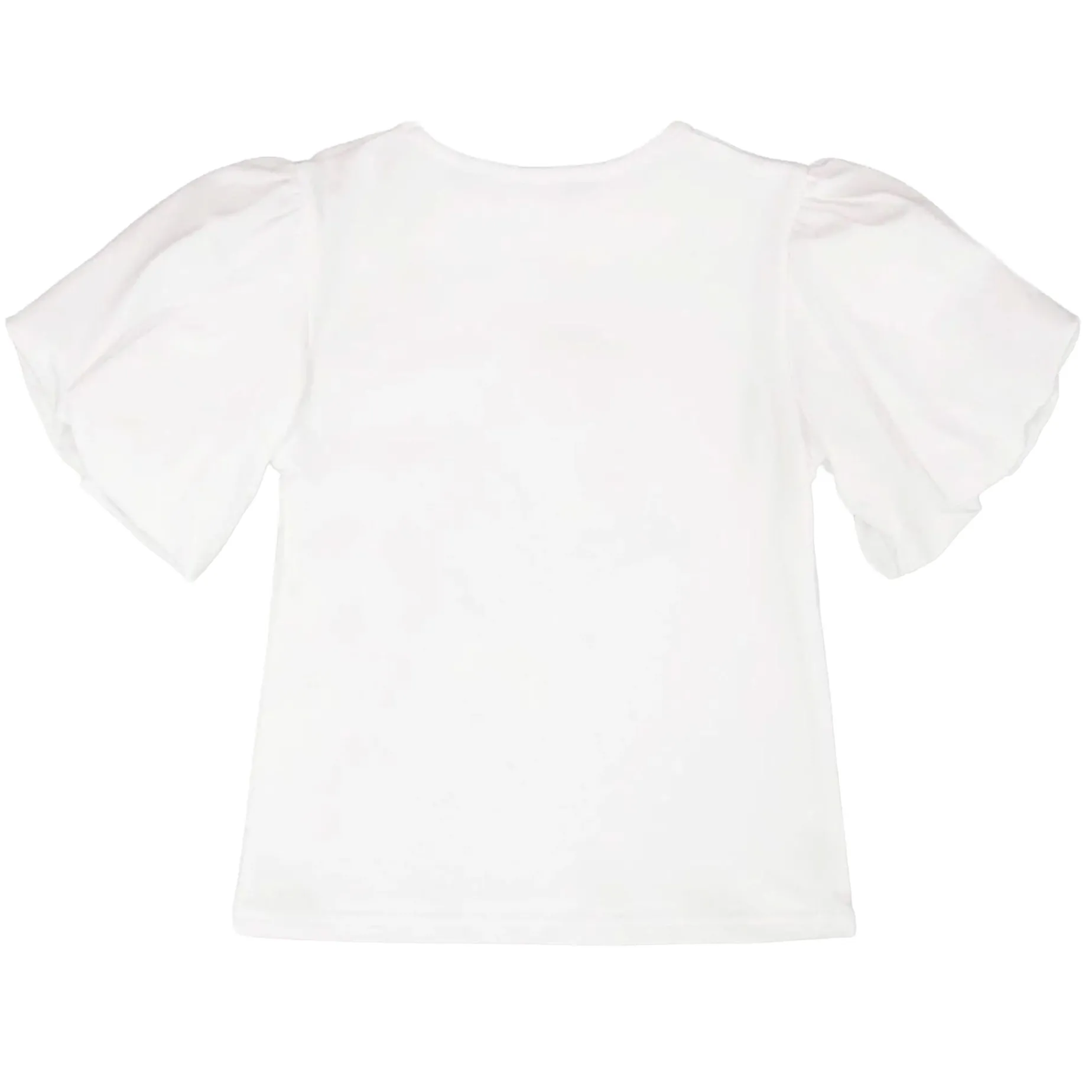 Daffodils Flower Top 7-10