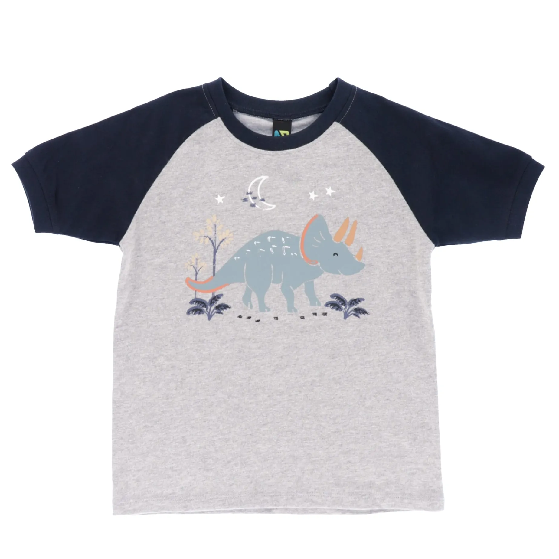 Dinos 3pc Pajamas 2-12