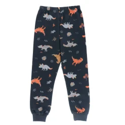 Dinos 3pc Pajamas 2-12