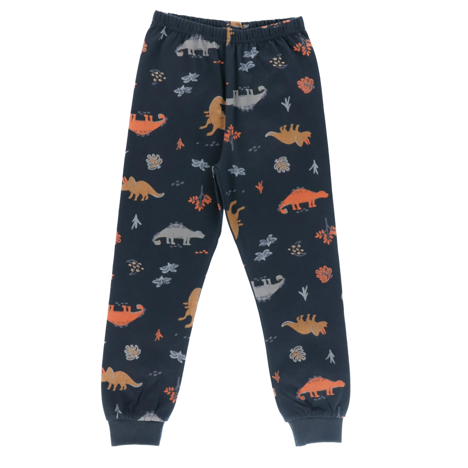 Dinos 3pc Pajamas 2-12