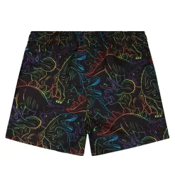 Dinosaurs Swim Short 2-6