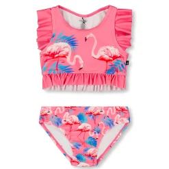 Flamingo Two Piecess Swimsuit 2-6y
