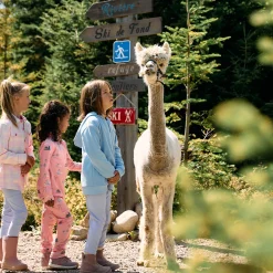 Kangaroo Zip Bear Skate 2-10 y