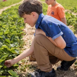 Off Road Jogger Pant 2-12